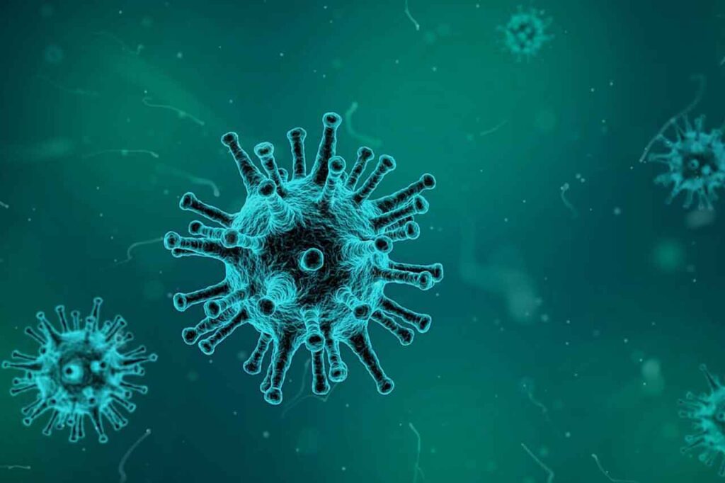 Ανοσολογικό Τμήμα