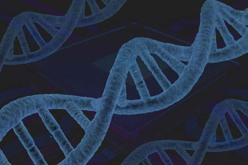 Τμήμα Μοριακής Βιολογίας